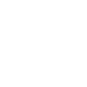 kunsleben elefant
